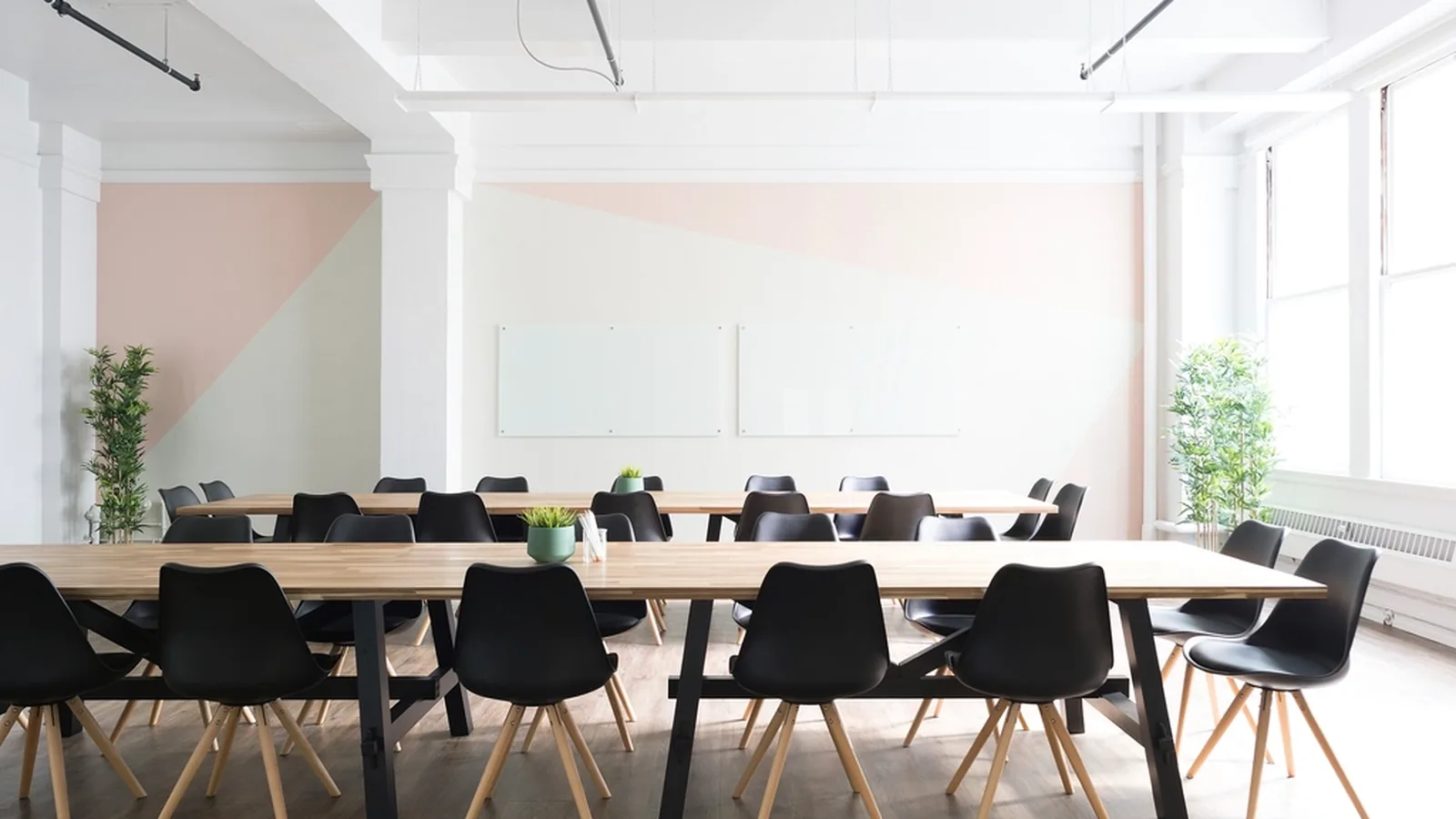 AILA Raises $3M Pre-Series A
